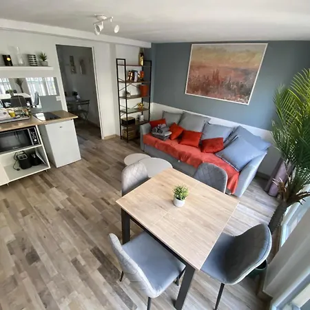 Charme Authentique Rouennais - 438 Appartement